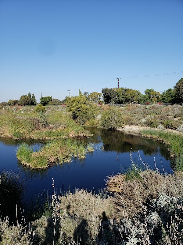 Wetland Wonders of Dominguez Gap in Long Beach, California surrounding landscape
