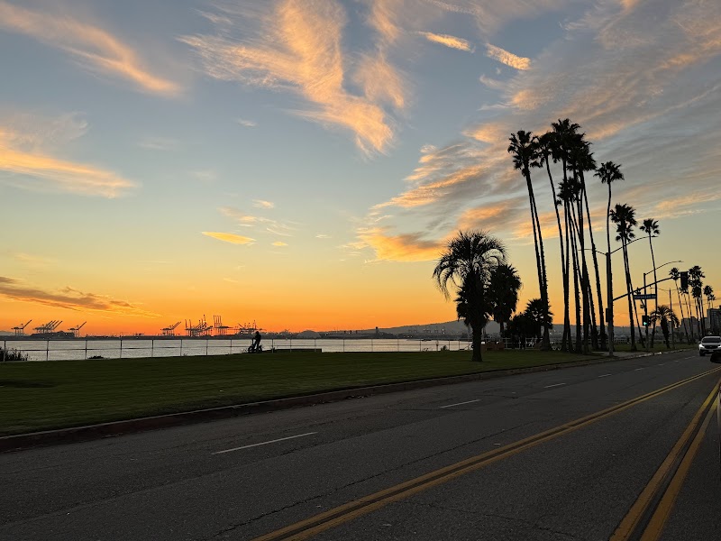 Coastal Scenic Views at Bluff Park, Long Beach - Bluff Park