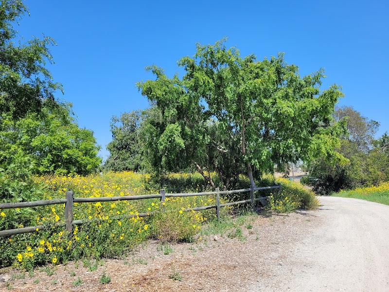 Willow Springs Park – A Green Escape in Long Beach surrounding landscape