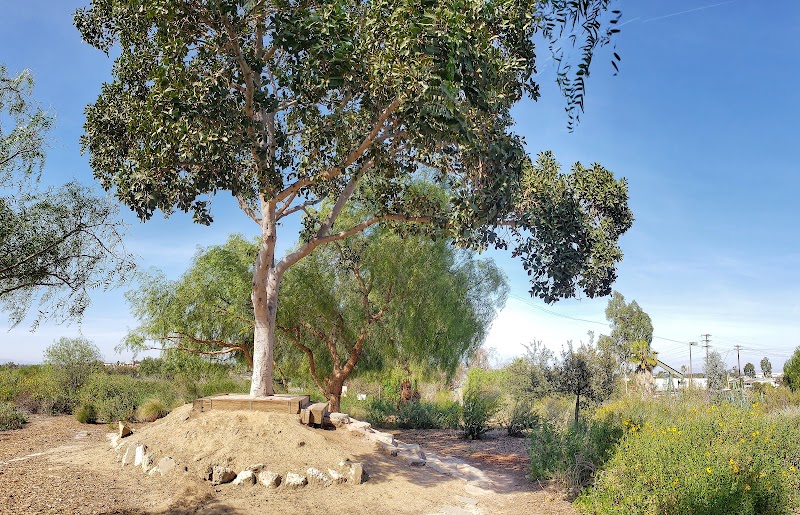Willow Springs Park – A Green Escape in Long Beach outdoor detail