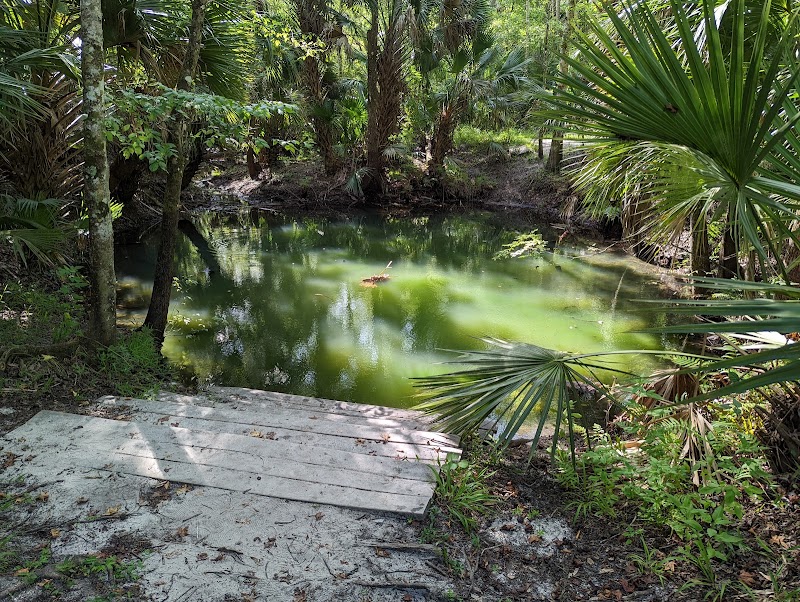 Serene Natural Refuge: Spring Hammock Preserve, Longwood, Florida - Spring Hammock Preserve