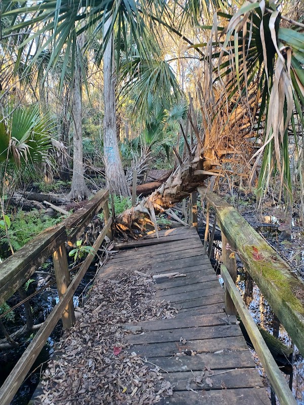 Serene Natural Refuge: Spring Hammock Preserve, Longwood, Florida - Spring Hammock Preserve