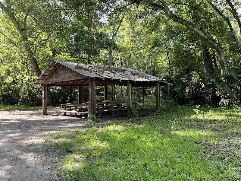 Serene Natural Refuge: Spring Hammock Preserve, Longwood, Florida - Spring Hammock Preserve