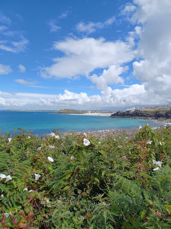 Scenic Coastal Trekking at South West Coast Path outdoor detail