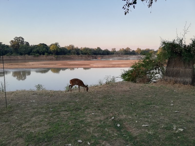 Scenic River Landscape of Luangwa River - Luangwa River