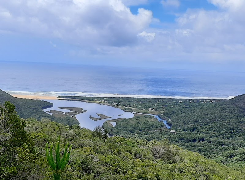 Mountain Hiking Adventure at Tsitsikamma Trail - Tsitsikamma Mountain Trail