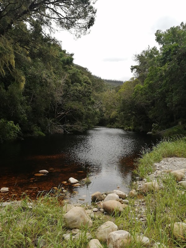 Mountain Hiking Adventure at Tsitsikamma Trail - Tsitsikamma Mountain Trail