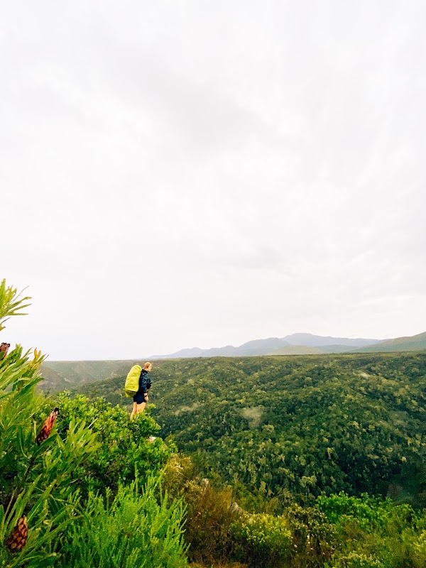 Coastal Hiking Adventure on the Tsitsikamma Trail - Tsitsikamma Hiking Trail