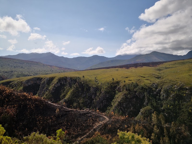Coastal Hiking Adventure on the Tsitsikamma Trail - Tsitsikamma Hiking Trail