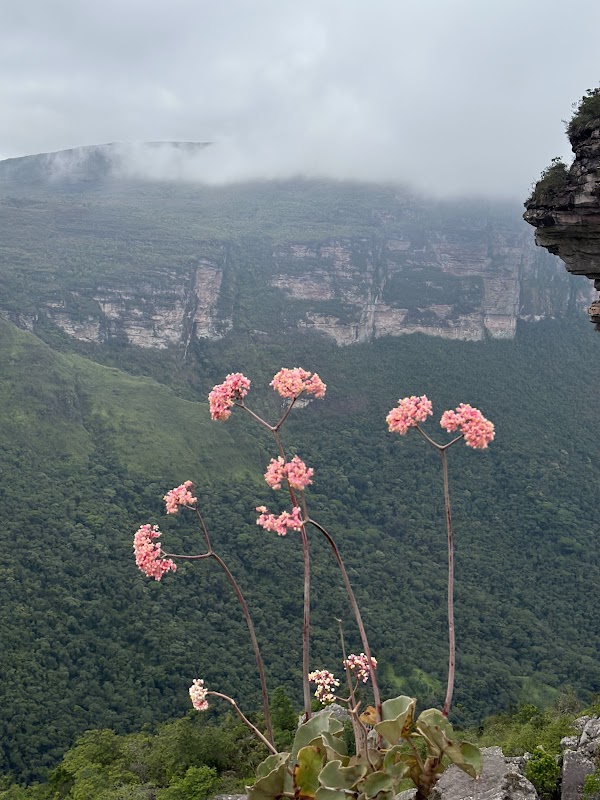 Impressive Canyon Wilderness of Vale do Pati, Chapada Diamantina - Vale do Pati