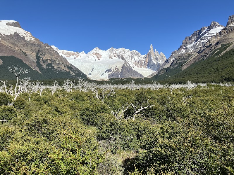 Glimpse of Torre Lagoon near El Chaltén - Torre Lagoon