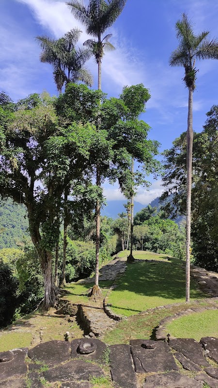 Ancient Terraces of Ciudad Perdida in Santa Marta, Colombia - Ciudad Perdida