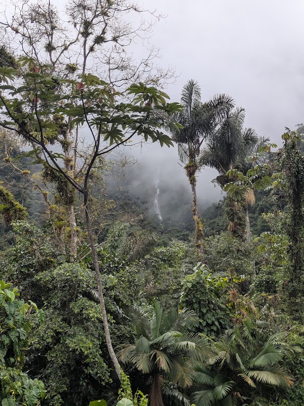 Ancient Terraces of Ciudad Perdida in Santa Marta, Colombia - Ciudad Perdida