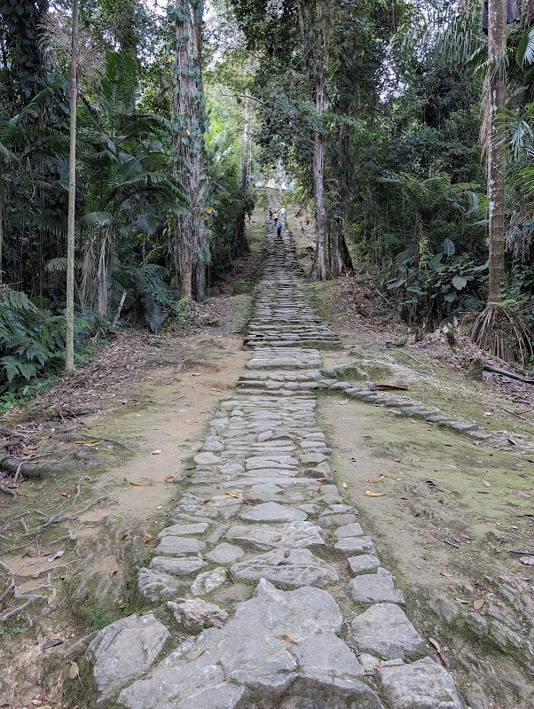 Ancient Wonder & Trekking Adventure at Ciudad Perdida - Ciudad Perdida