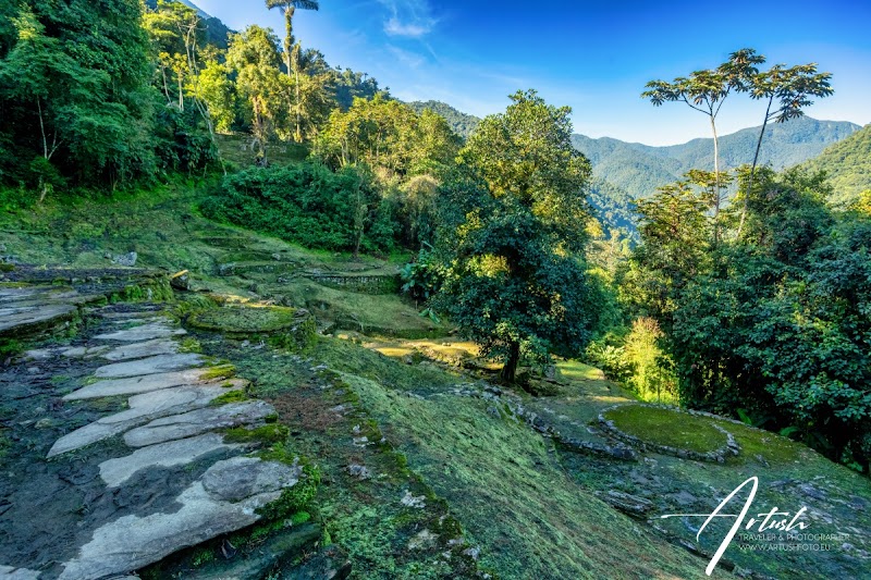 Ancient Wonder & Trekking Adventure at Ciudad Perdida - Ciudad Perdida