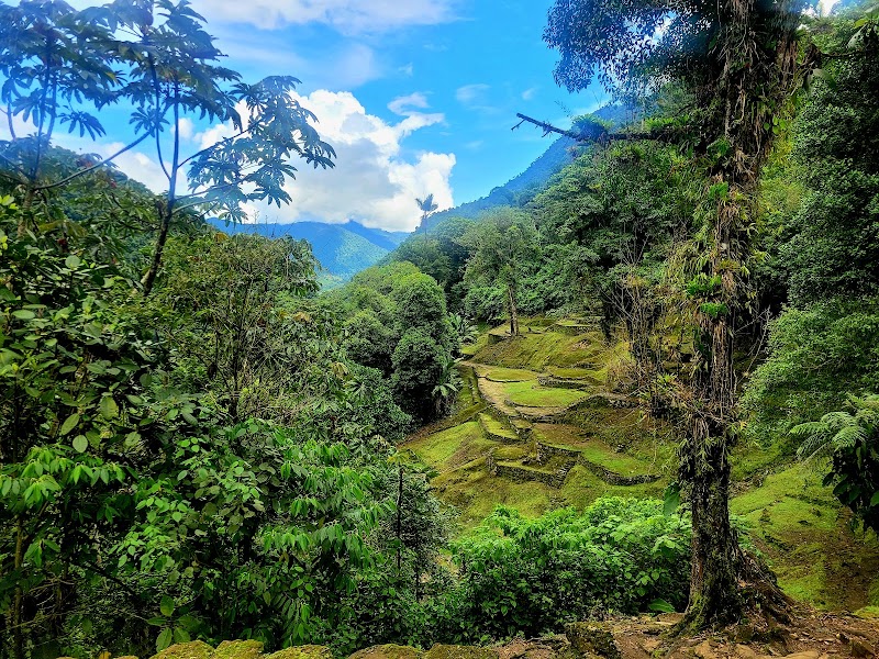 Ancient Wonder & Trekking Adventure at Ciudad Perdida - Ciudad Perdida