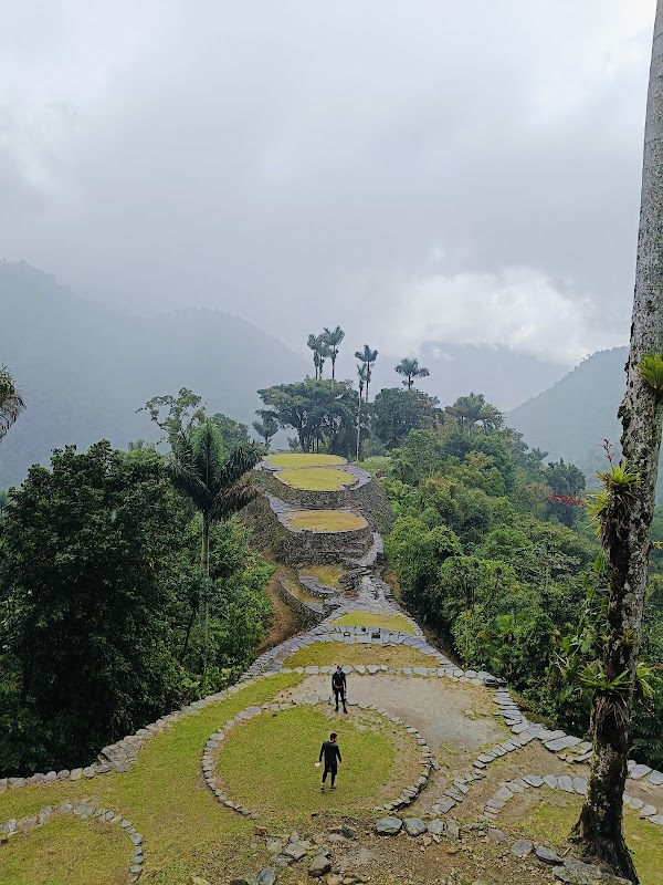 Ancient Wilderness Walk in Ciudad Perdida, Magdalena - Ciudad Perdida Magdalena