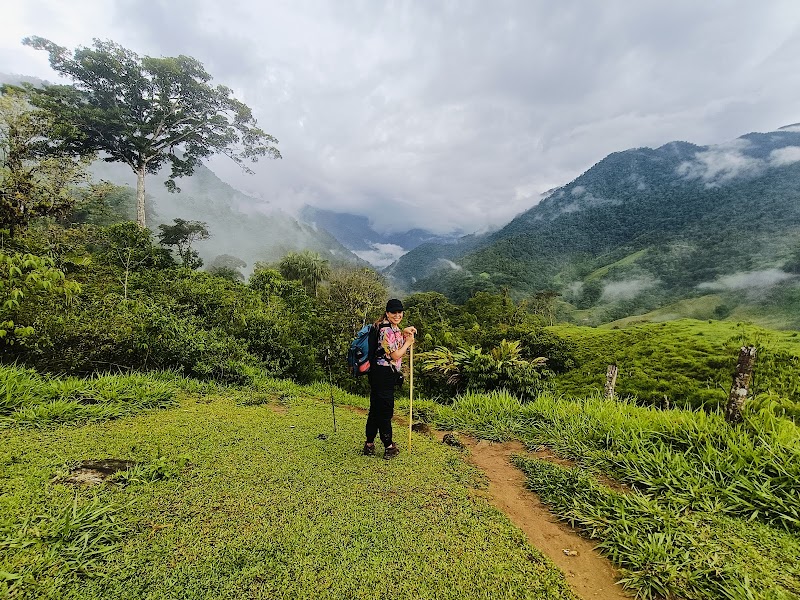 Ancient Wilderness Walk in Ciudad Perdida, Magdalena - Ciudad Perdida Magdalena