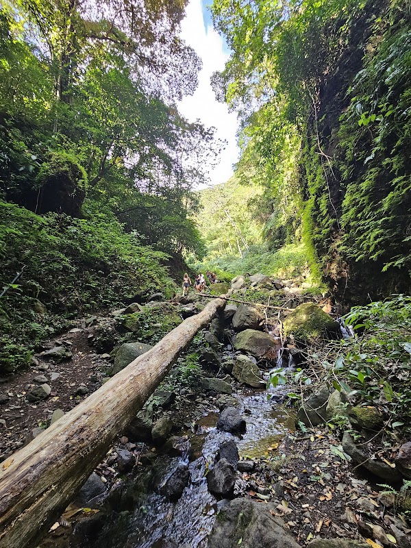 Spectacular Waterfall Experience at Cascada de San Ramón - Cascada de San Ramón