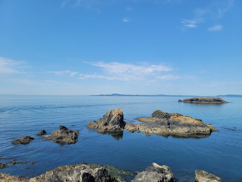 Coastal Adventure at Rosario Head Trailhead surrounding landscape