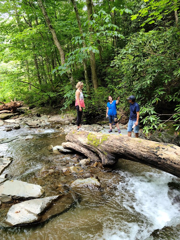 Scenic Hiking at Appalachian Trail near Cosby, Tennessee - Appalachian Trail