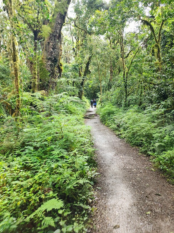 Gateway to Adventure: Machame Gate on Mount Kilimanjaro - Machame Gate - Mount Kilimanjaro