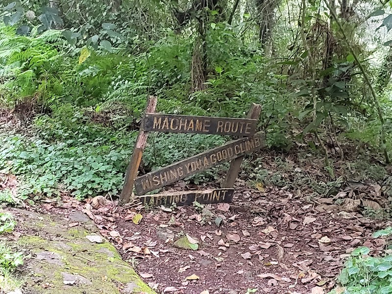 Gateway to Adventure: Machame Gate on Mount Kilimanjaro - Machame Gate - Mount Kilimanjaro