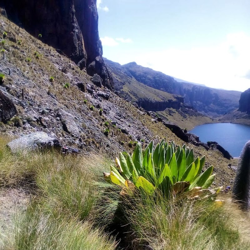 Chogoria Mt. Kenya Treks n Safaris: Mountain Adventure in Kenya - Chogoria Mt. Kenya Treks n Safaris