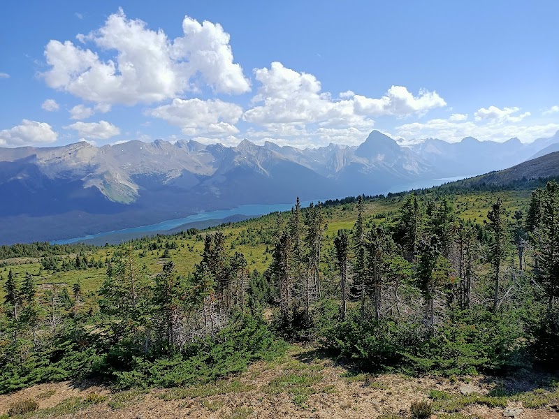 Scenic Hiking at Bald Hills Trail, Alberta - Bald Hills Trail