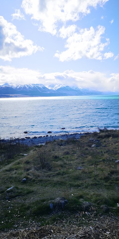 Scenic Biking and Hiking on the Timber Trail, New Zealand - Timber Trail