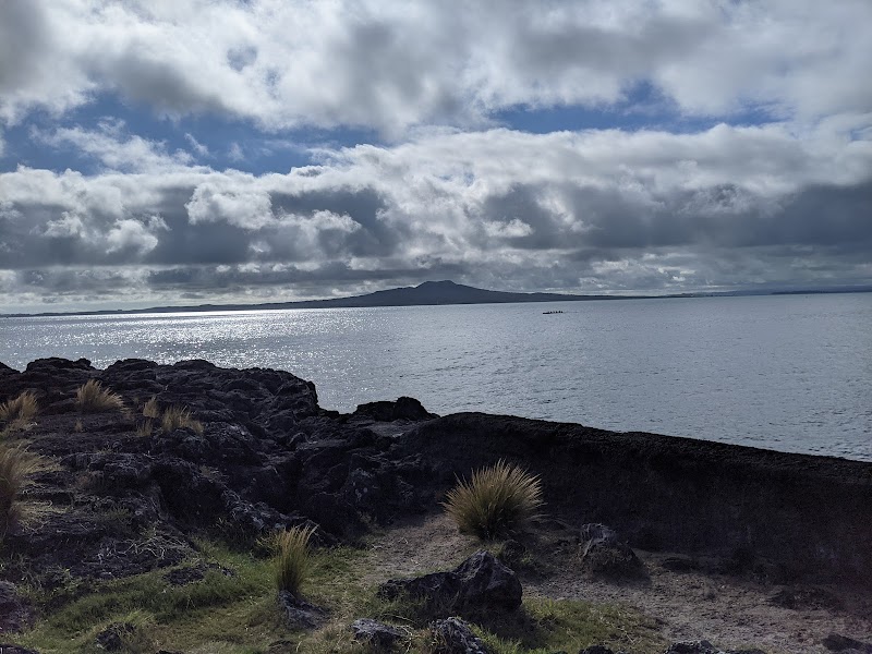 Scenic Biking and Hiking on the Timber Trail, New Zealand - Timber Trail