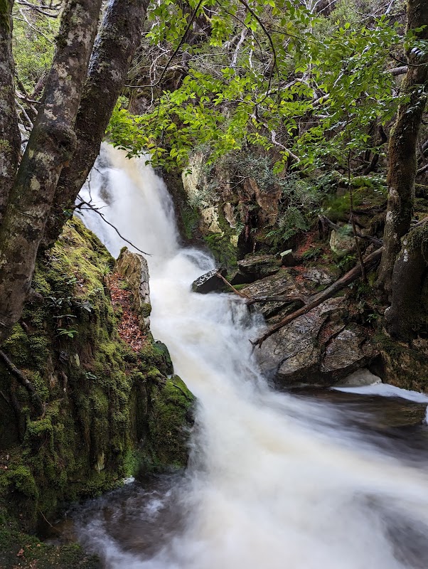 Hiking the Overland Track in Tasmania's Wilderness surrounding landscape