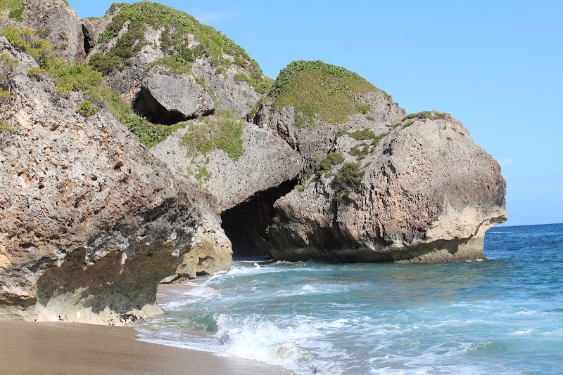 Coastal Wonders at Survival Beach, Aguadilla, Puerto Rico - Survival Beach