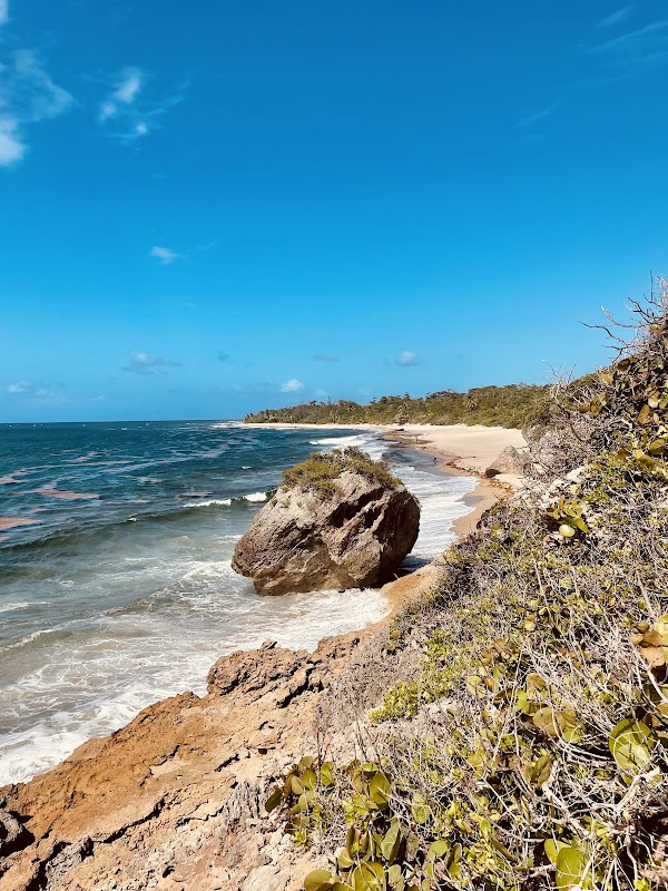 Coastal Wonders at Survival Beach, Aguadilla, Puerto Rico outdoor detail