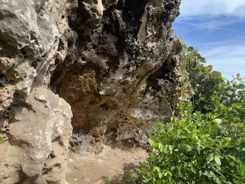 Natural Rock Formations & Coastal Beauty at Survival Trail, Aguadilla outdoor detail