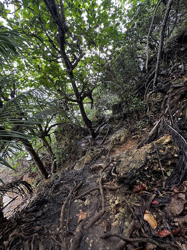 Natural Rock Formations & Coastal Beauty at Survival Trail, Aguadilla surrounding landscape