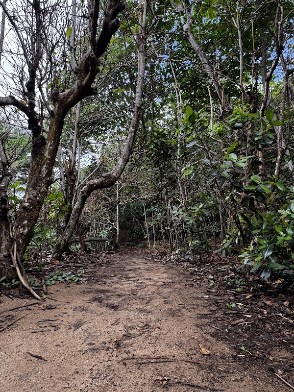 Natural Rock Formations & Coastal Beauty at Survival Trail, Aguadilla - Survival Trail