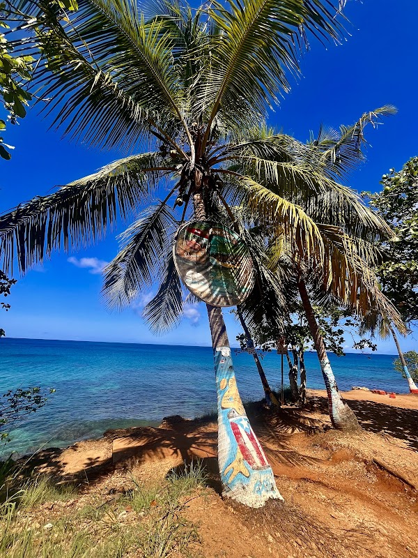 Coastal Cliffscape & Clear Waters of Peña Blanca Aguadilla - Peña Blanca Aguadilla