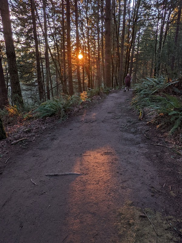 Nature's Sanctuary in Portland: Powell Butte Nature Park surrounding landscape