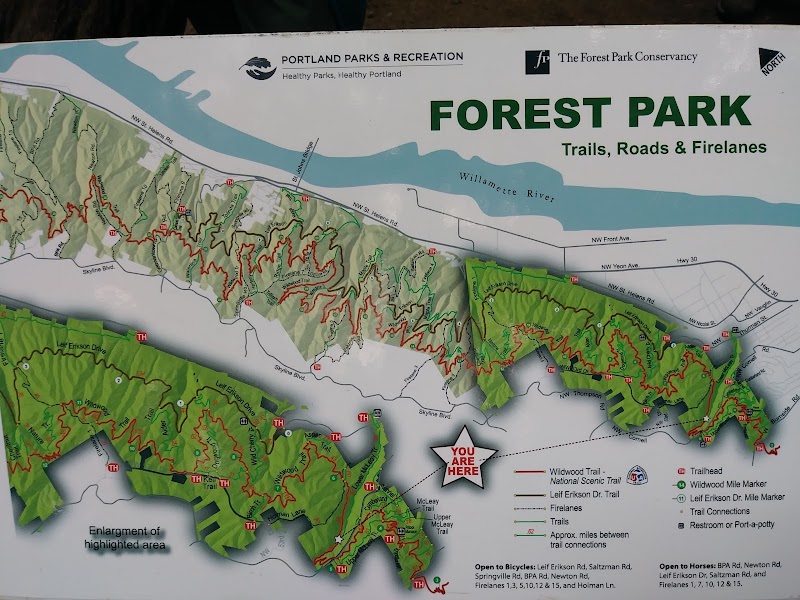 Nature Escape at Forest Park, Portland surrounding landscape
