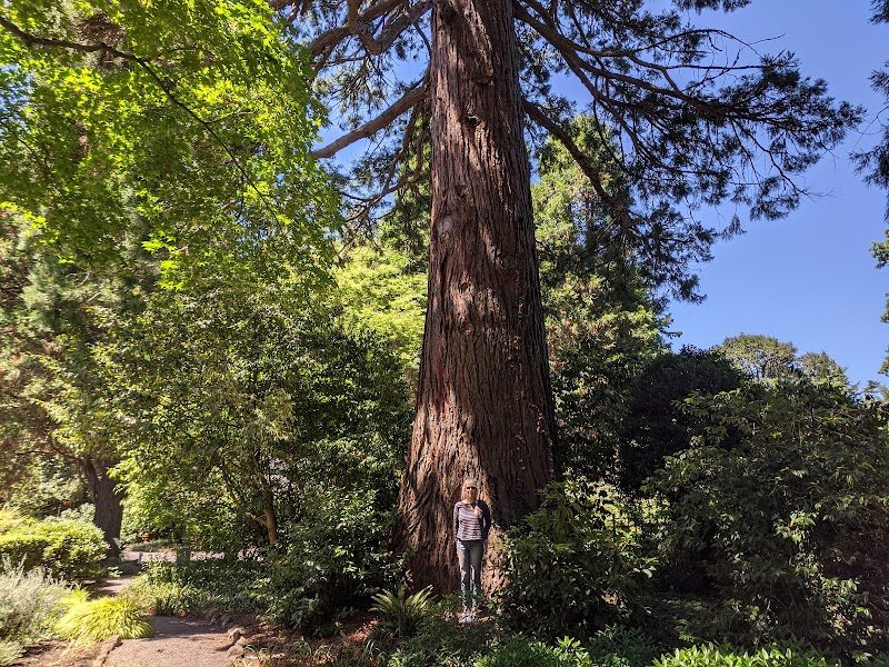 Serene Botanical Beauty at Elk Rock Garden, Portland surrounding landscape