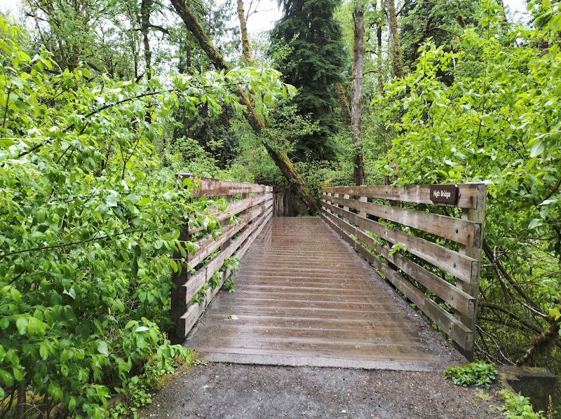 Urban Forest Escape at Tryon Creek State Natural Area - Tryon Creek State Natural Area