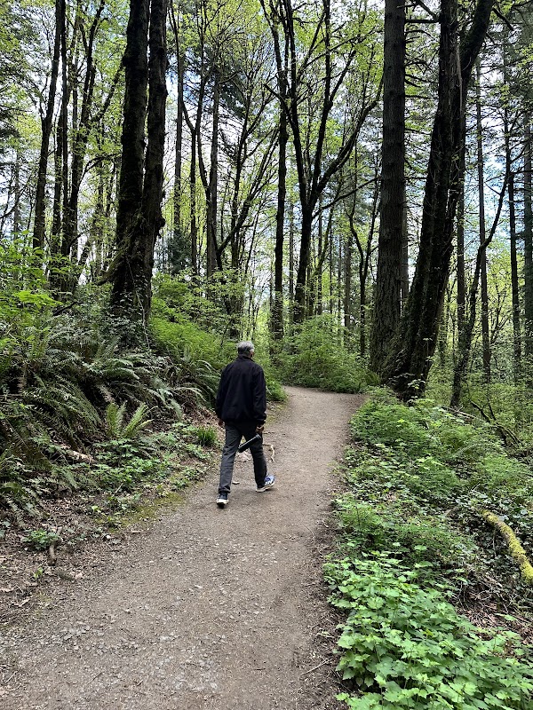 Forested Trails in Marquam Nature Park, Portland outdoor detail