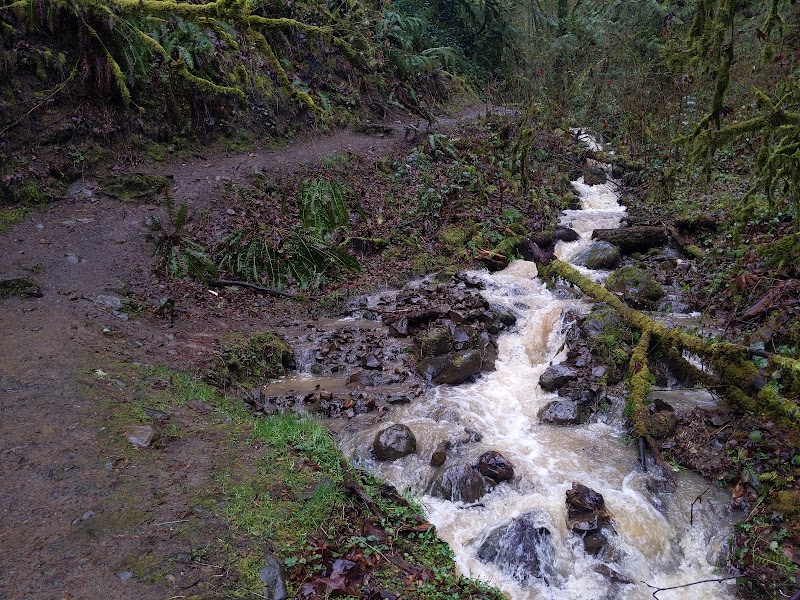 Hiking the Scenic Linnton Loop Trailhead in Portland, Oregon surrounding landscape