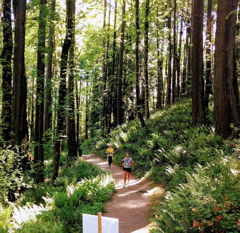 Trail Hiking in Portland’s Lush NW 53rd Dr Trailhead - NW 53rd Dr trailhead