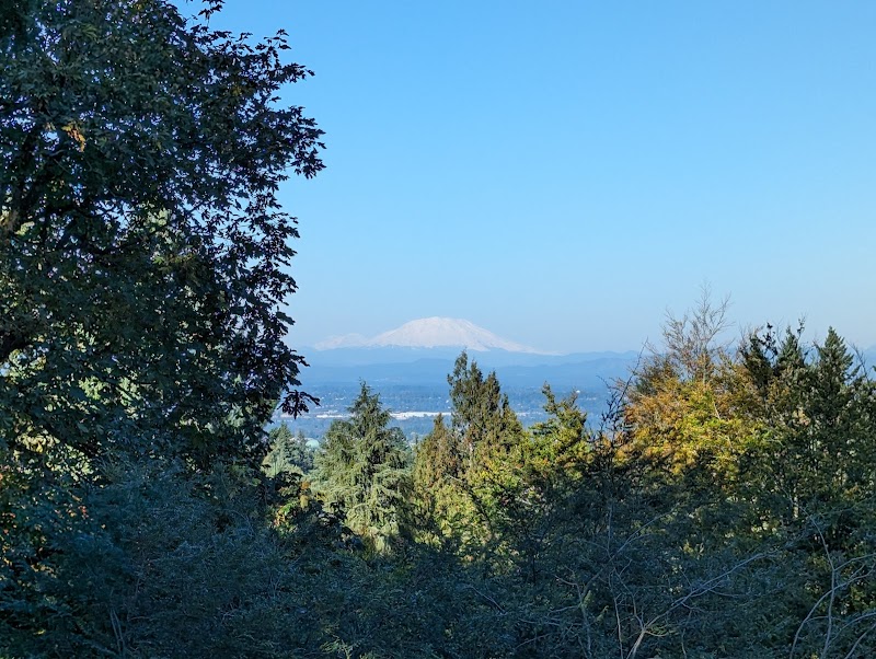 Forest Trails & Tree Discoveries at Hoyt Arboretum surrounding landscape