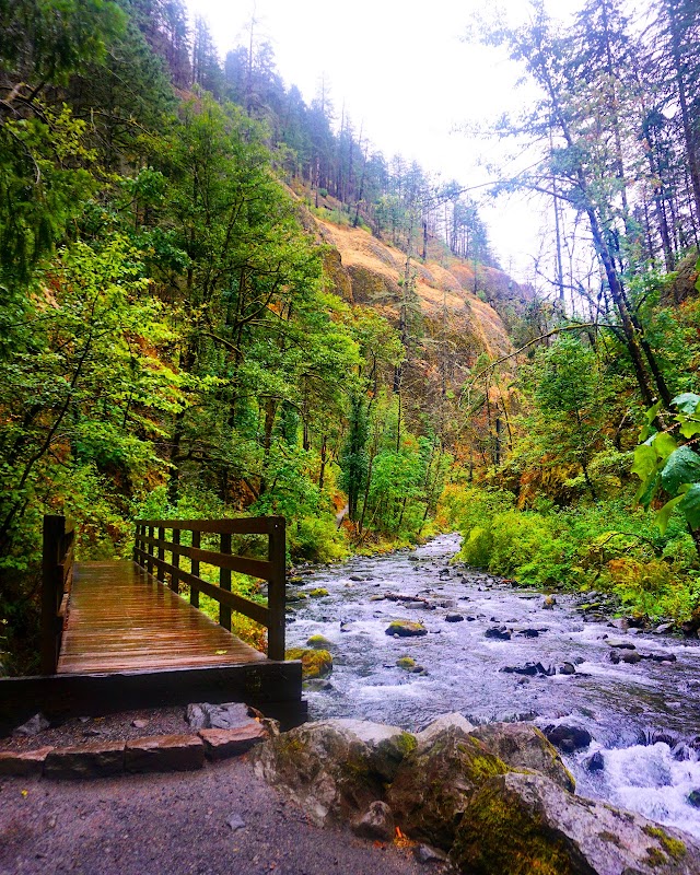 Scenic Waterfall Experience at Wahclella Falls, Oregon surrounding landscape