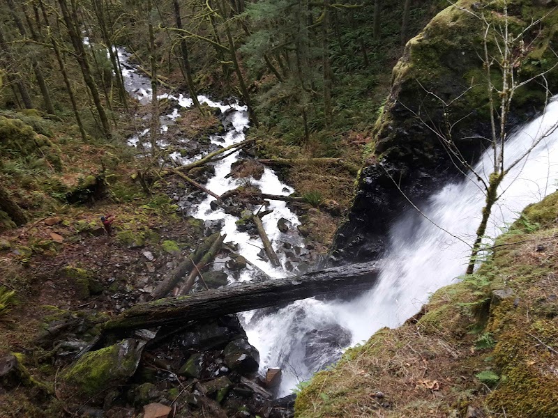 Waterfall Wonder: Shellburg Falls in Oregon - Shellburg Falls