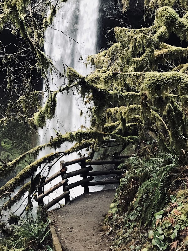 Waterfall Wonder: Shellburg Falls in Oregon surrounding landscape