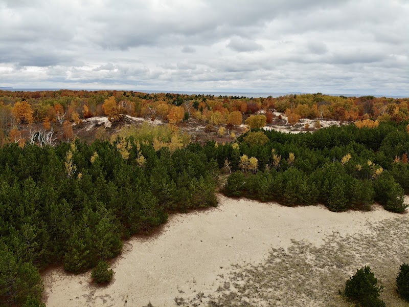 Dune Landscapes & Natural Beauty at Houdek Dunes Natural Area - Houdek Dunes Natural Area: The Leelanau Conservancy
